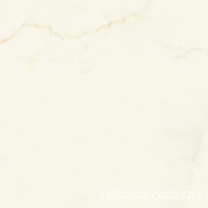 Керамогранит Atlas Concorde Italy Marvel X Marvel Calacatta Apuano Matt 60x60 Белый 