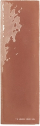 Rebels Terracotta Gloss ZZ 5x15