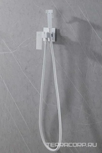 Смеситель совмещ. с гигиенич. душем, готовый к-т: лейка, шланг, скрытая часть, (цв.белый матовый),  ZZ Abber Daheim AF8226W