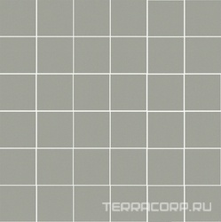 Мозаика Kerama Marazzi Агуста  серый светлый натуральный 30,1х30,1 Серый 