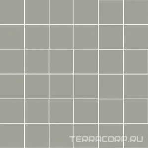 Мозаика Kerama Marazzi Агуста  серый светлый натуральный 30,1х30,1 Серый 