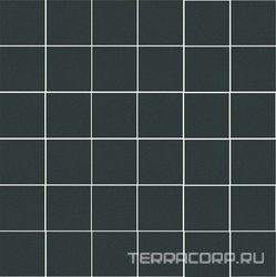 Мозаика Kerama Marazzi Агуста  черный натуральный ZZ30,1х30,1 Черный 
