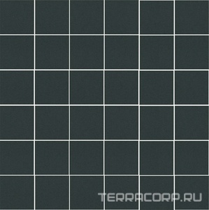 Мозаика Kerama Marazzi Агуста  черный натуральный ZZ30,1х30,1 Черный 
