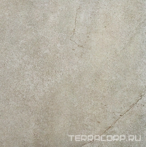 Керамогранит Zerde 2 CM Gaia  grey 58x58 Серый 