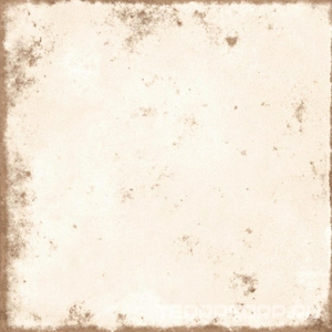 Керамогранит Alpas Euro Savona  Light Base Matt 20x20 Комбинированный 