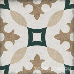 Керамогранит Alpas Euro Arton  Karlo Matt 20x20 Комбинированный 