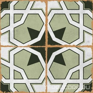 Керамогранит Alpas Euro Mezzo  Blossom Matt 20x20 Комбинированный 