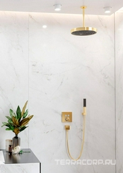 Термостат встраив. в стену на 2 потребителя, наружняя часть, БЕЗ скрытой части арт.01800180, (цв.шлиф.бронза), HG ShowerSelect  ZZ Hansgrohe Ecostat S 15763140