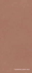 Керамогранит Ariostea Ultra Balance Iridium Marsala Red nat. 6mm 270x120 Коричневый 