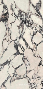 Керамогранит Atlas Concorde Italy Marvel Epic  Calacatta Viola lapp 60x120 Комбинированный 