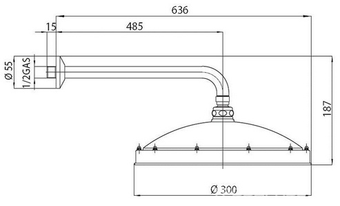 Душ верхний, стационарный, лейка d 30см, настенный монтаж, (кронштейн 48,5см, розетка в компл.), (цв.хром), RETRO ANTIKAL d 300 Bossini ZZ Bossini Универсал H18703J 030