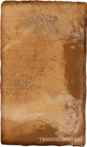 Керамогранит Ermes Aurelia Cotto  nat 30x50 Коричневый 