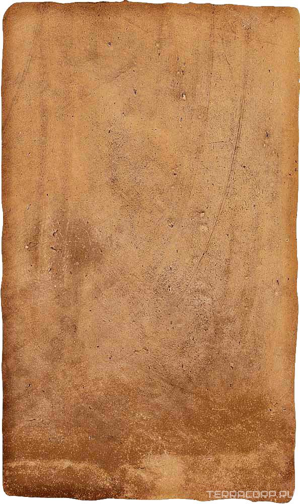 Керамогранит Ermes Aurelia Cotto nat 30x50 Коричневый, фото 6