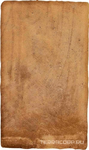 Керамогранит Ermes Aurelia Cotto  nat 30x50 Коричневый 