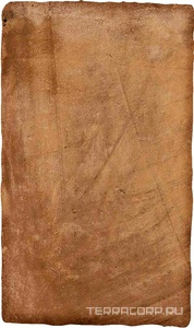 Керамогранит Ermes Aurelia Cotto  nat 30x50 Коричневый 