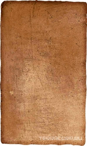 Керамогранит Ermes Aurelia Cotto  nat 30x50 Коричневый 