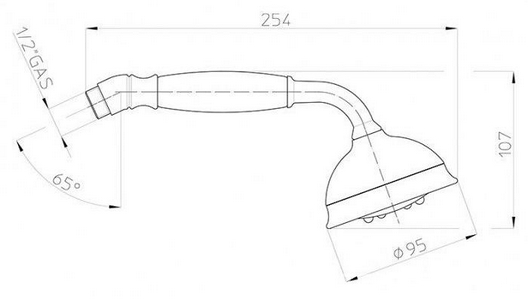 Лейка для душа, ручная, 5 видов струи, (цв.бронза), ROMAN Bossini ZZ Bossini Универсал B00586 022