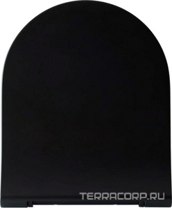 Сиденье для унитаза, с микролифтом, (цв.черный матовый),  ZZ Allen Brau Priority 4.31004.31