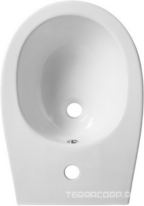 Биде напольное 363х520хh400мм, 1 отв.для смесит., крепёж в компл.,  ZZ Allen Brau Fantasy 4.11008.20