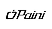 Paini производитель