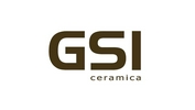 GSI производитель