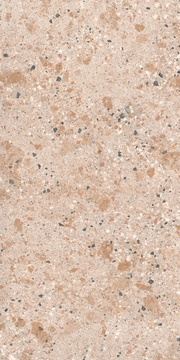 Arleccino Natural Plus ZZ 60x120