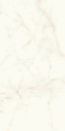 Marvel Calacatta Delicato Lappato|60x120