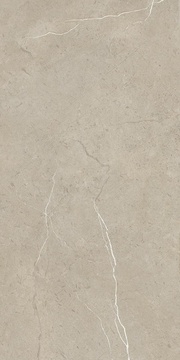 Salvador  Biege  31.5x63