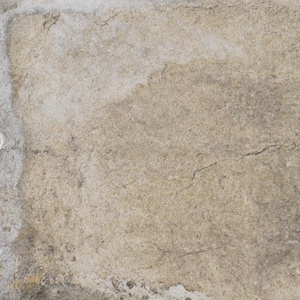 Sugar Cane ZZ 20x20