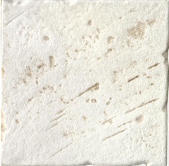 La Mora (bianco) XX|10x10