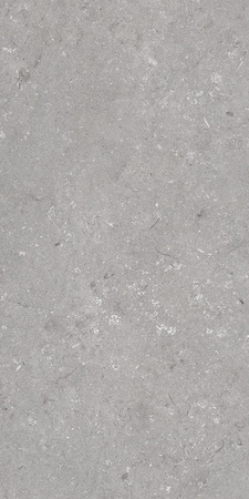 Shellstone Grigio 60x120