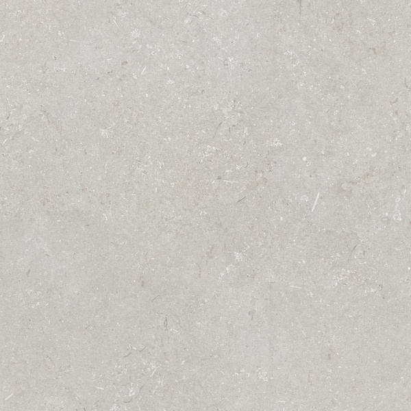 Shellstone Bianco 120x120