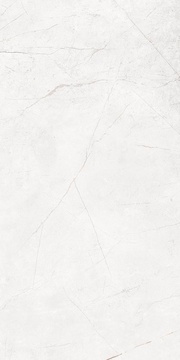 Керамогранит NL00 полированный рект. ZZ 60x120
