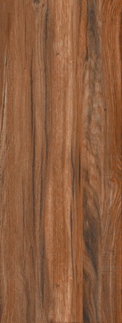 Сeylan Сaoba Rec NPLus  ZZ |45x118