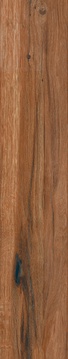 Сeylan Сaoba Rec Nat ZZ |22x118