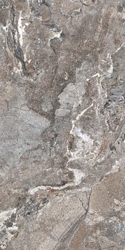 Silver Porphyry Struct 60x120