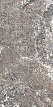 Silver Porphyry Struct 60x120       