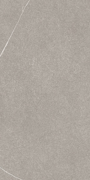 Brushed Light  Matte 6mm  ZZ 60x120