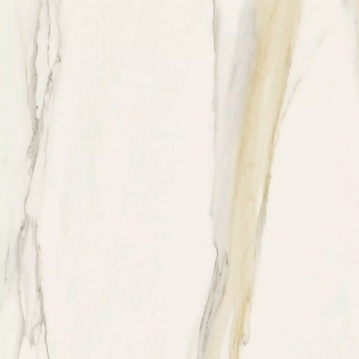 Calacatta Gold Matte ZZ 120x120