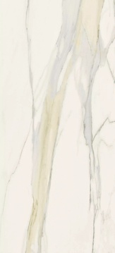 Calacatta Gold Matte ZZ 120x280