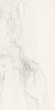 Stone Calacatta Smooth Rett. ZZ 60x120