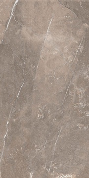 Плитка облиц. GlobalTile Siluet GT Кор.  |25x50