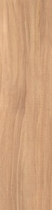 Nut beige 12.5x50