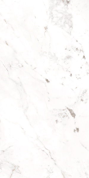 Base Carrara Blanco Liso |60x120