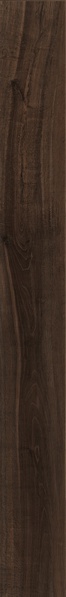 Kuni 2012TS |20x120