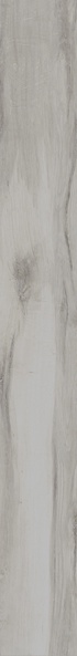 Kuni 2012W |20x120
