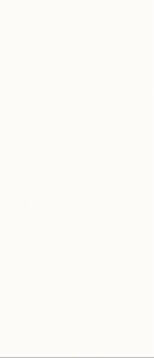 Jade Frost White text 120x280