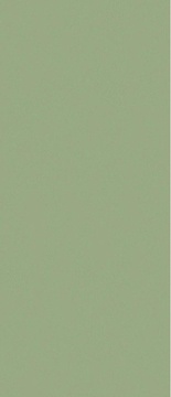 Pine Green matt ZZ 120x280