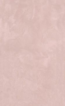 Фоскари розовый ZZ|25x40