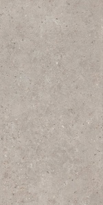 Риккарди серый светлый матовый обрезной 60х119,5